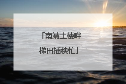 南靖土楼畔 梯田插秧忙