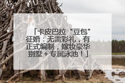 卡皮巴拉“豆包”征婚：无需彩礼，有正式编制，嫁妆豪华别墅＋专属泳池！