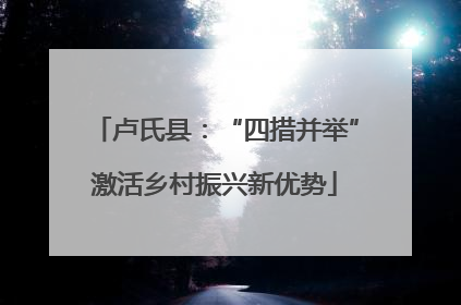 卢氏县：“四措并举”激活乡村振兴新优势