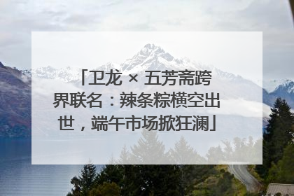 卫龙 × 五芳斋跨界联名：辣条粽横空出世，端午市场掀狂澜