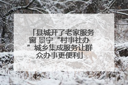 县城开了老家服务窗 景宁“村事社办”城乡集成服务让群众办事更便利