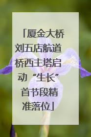 厦金大桥刘五店航道桥西主塔启动“生长” 首节段精准落位