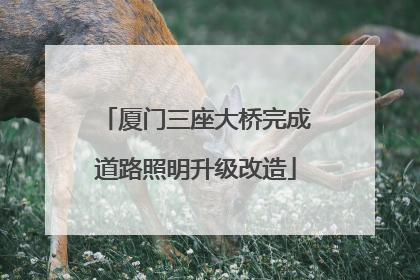 厦门三座大桥完成道路照明升级改造