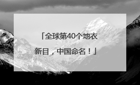 全球第40个地衣新目，中国命名！
