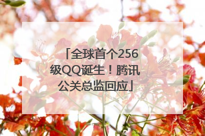 全球首个256级QQ诞生！腾讯公关总监回应