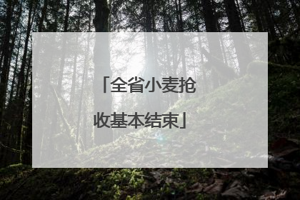 全省小麦抢收基本结束