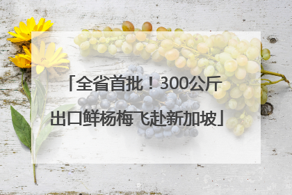 全省首批！300公斤出口鲜杨梅飞赴新加坡