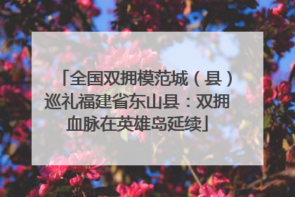 全国双拥模范城（县）巡礼福建省东山县：双拥血脉在英雄岛延续