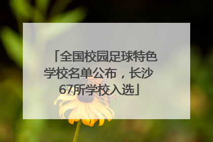 全国校园足球特色学校名单公布，长沙67所学校入选