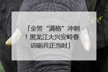 全警“满格”冲刺！黑龙江大兴安岭春训砺兵正当时