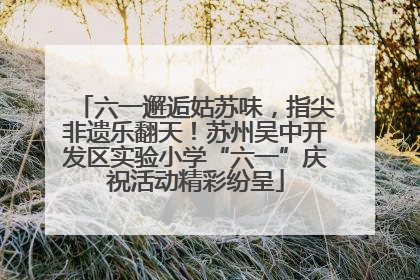 六一邂逅姑苏味，指尖非遗乐翻天！苏州吴中开发区实验小学“六一”庆祝活动精彩纷呈
