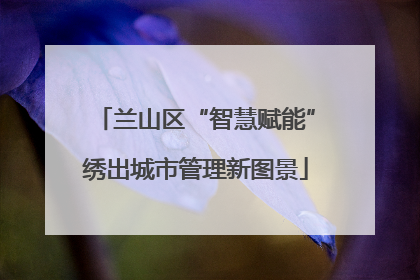 兰山区“智慧赋能”绣出城市管理新图景
