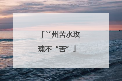 兰州苦水玫瑰不“苦”