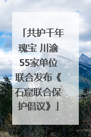 共护千年瑰宝 川渝55家单位联合发布《石窟联合保护倡议》