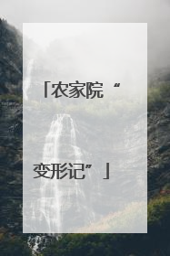 农家院“变形记”