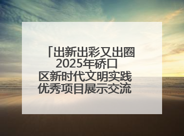 出新出彩又出圈 2025年硚口区新时代文明实践优秀项目展示交流活动举行