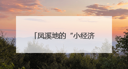 凤溪地的“小经济”与“大情怀”