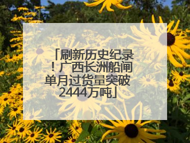 刷新历史纪录！广西长洲船闸单月过货量突破2444万吨