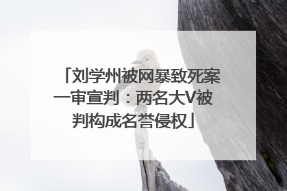 刘学州被网暴致死案一审宣判：两名大V被判构成名誉侵权