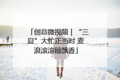 创意微视频｜“三夏”大忙正当时 麦浪滚滚穗飘香