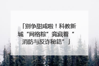 别争甜咸啦！科教新城“网格粽”竟藏着“消防与反诈秘籍”