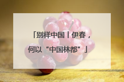 别样中国丨伊春，何以“中国林都”
