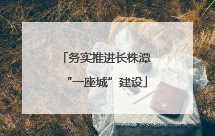 务实推进长株潭“一座城”建设