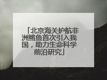 北京海关护航非洲鳉鱼首次引入我国，助力生命科学前沿研究