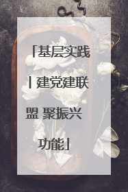 基层实践丨建党建联盟 聚振兴功能