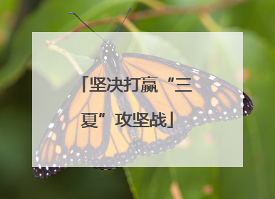 坚决打赢“三夏”攻坚战