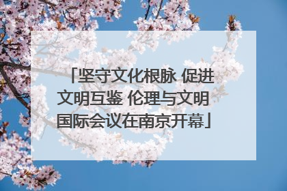坚守文化根脉 促进文明互鉴 伦理与文明国际会议在南京开幕