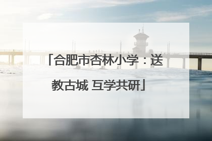合肥市杏林小学：送教古城 互学共研