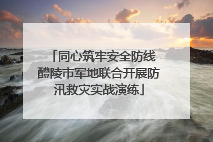 同心筑牢安全防线 醴陵市军地联合开展防汛救灾实战演练