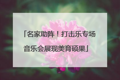 名家助阵！打击乐专场音乐会展现美育硕果