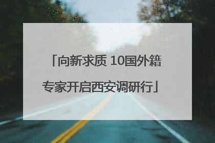 向新求质 10国外籍专家开启西安调研行