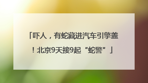 吓人，有蛇藏进汽车引擎盖！北京9天接9起“蛇警”