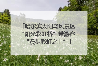 哈尔滨太阳岛风景区“阳光彩虹桥”带游客“漫步彩虹之上”