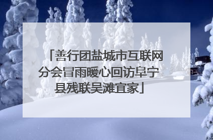 善行团盐城市互联网分会冒雨暖心回访阜宁县残联吴滩宜家