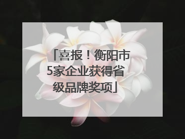 喜报！衡阳市5家企业获得省级品牌奖项