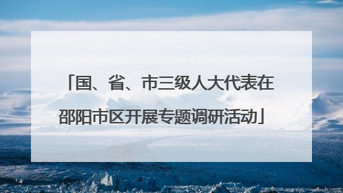 国、省、市三级人大代表在邵阳市区开展专题调研活动