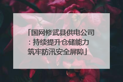 国网修武县供电公司：持续提升仓储能力 筑牢防汛安全屏障