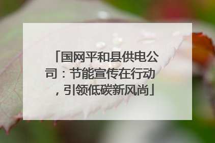 国网平和县供电公司：节能宣传在行动，引领低碳新风尚