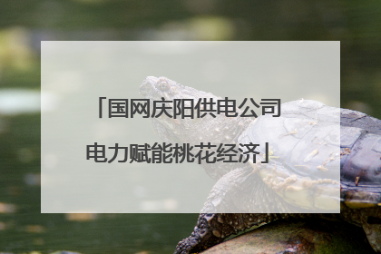 国网庆阳供电公司电力赋能桃花经济