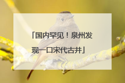 国内罕见！泉州发现一口宋代古井