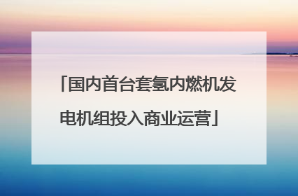 国内首台套氢内燃机发电机组投入商业运营