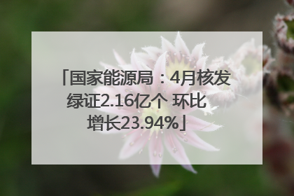 国家能源局：4月核发绿证2.16亿个 环比增长23.94%