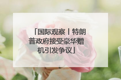 国际观察丨特朗普政府接受豪华赠机引发争议