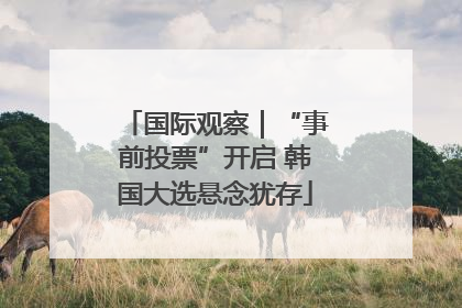 国际观察｜“事前投票”开启 韩国大选悬念犹存