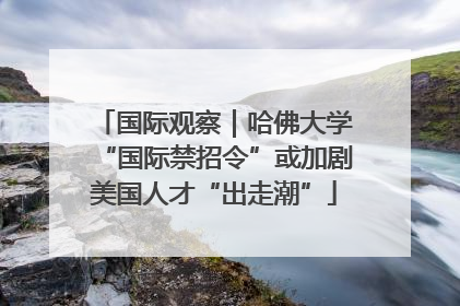 国际观察｜哈佛大学“国际禁招令”或加剧美国人才“出走潮”