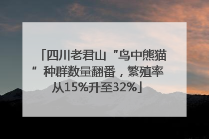 四川老君山“鸟中熊猫”种群数量翻番，繁殖率从15%升至32%